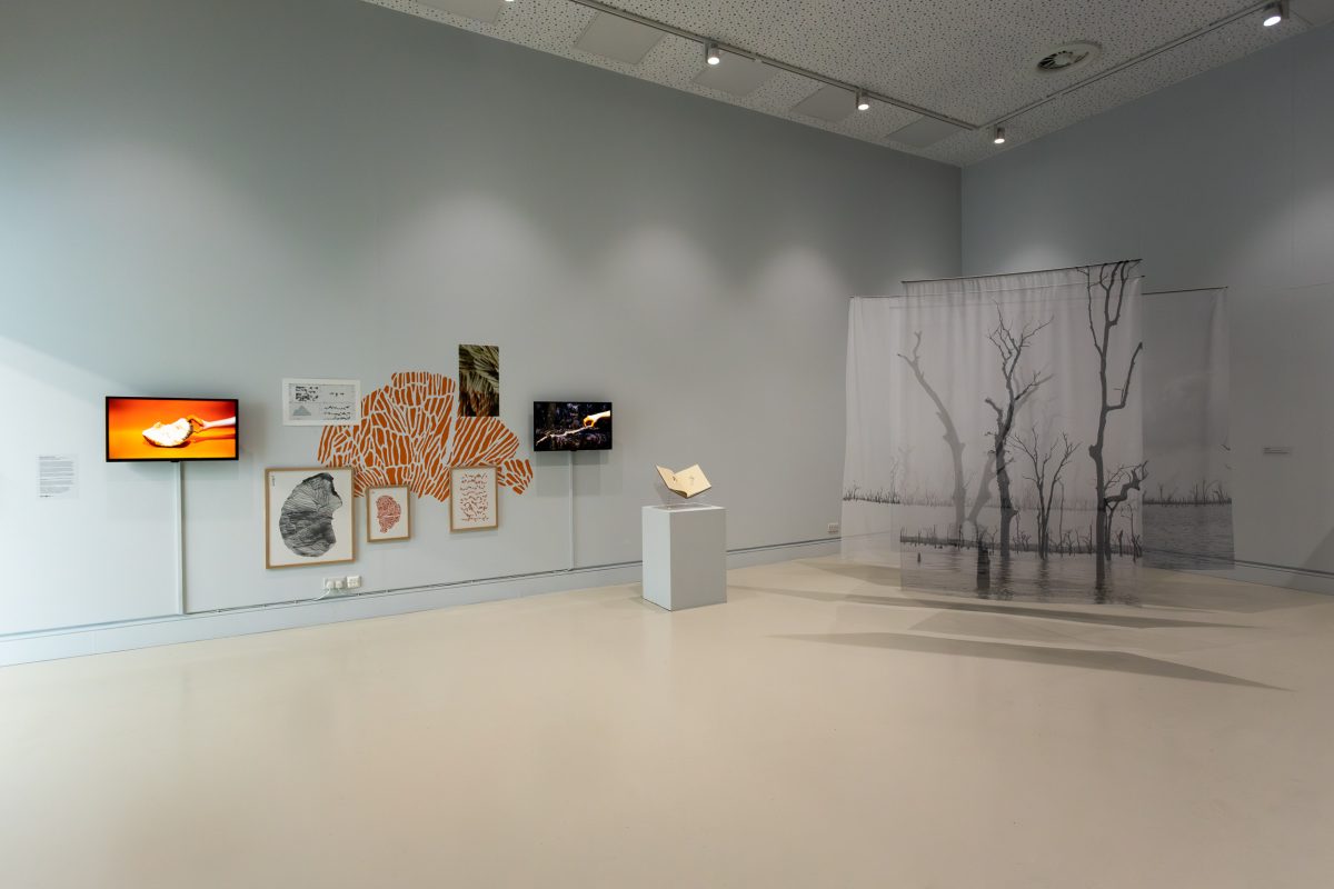 Installation shot of We live like trees inside the footsteps of our ancestors at Blenheim Walk Gallery