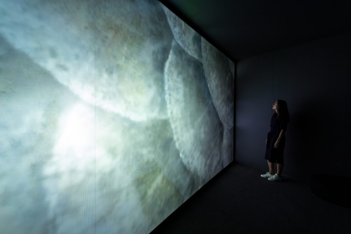 Stasis video installation byMaya Watanabe