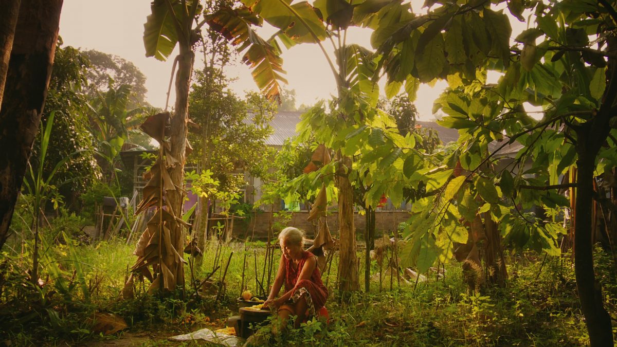 Still from The Look of Silence. by Lars Skree