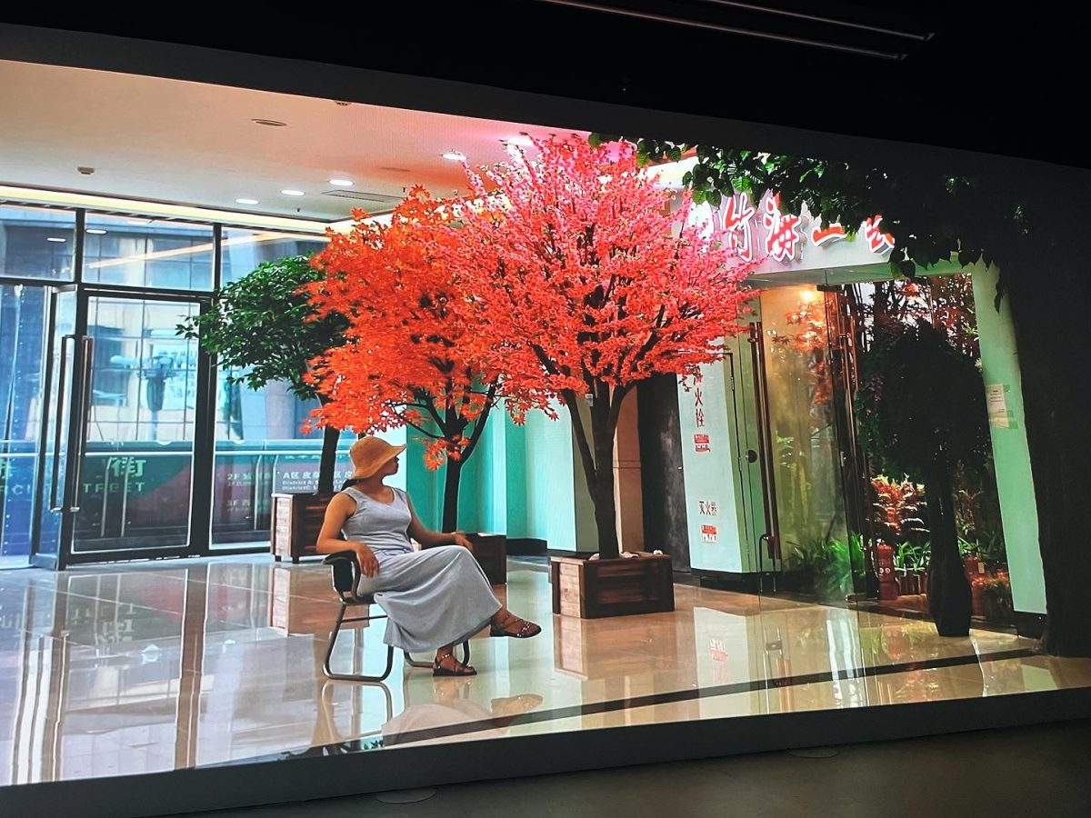 photograph of a screening of the film, A Terrible Beauty by Iram Ghufran. Shows a woman in a dress sat underneath a tree, inside a shopping centre